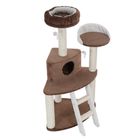 Carina Cat Tree