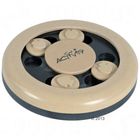 Cat Activity Fun Circle