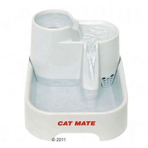 136622_pitti_cat_mate_haustierquelle_12_2011_5.jpg