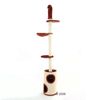 Cat Tree Amata