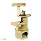 Cat Tree Oviedo