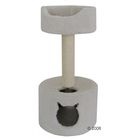 Cat Tree Tupai