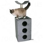 Cat Tree Tuvalu