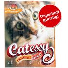 Catessy BBQ Sticks