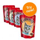Catessy Chunks in Sauce Mixed Trial Pack 4 x 100g