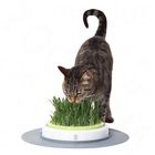 Catit Design Senses Grass Garden