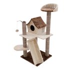 Cat´s Home -raapimispuu