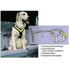 Ceinture de sécurité Allsafe