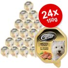 Cesar in Sauce Savings Pack 24 x 150 g