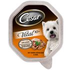 Cesar Senior Vital 10+ megapak 24 x 150 g