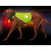 Chaleco reflectante Safety-Dog