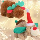 Christmas Cat Toy Scraggy