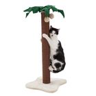Coco Palm Scratching Post