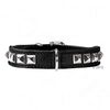 Collar de cuero para perros Hunter Rocky petit negro