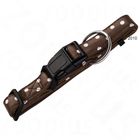 Collar para perros Hunter Fancy Dots