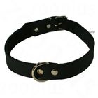 Collar para perros remachado de Heim