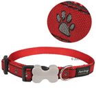 Collare Red Dingo Pawprints
