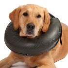 Collerette pour chien Comfy Collar