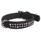 Collier en cuir pour chien Buffalo Strass, noir