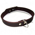 Collier en cuir pour chien Heim, riveté, marron