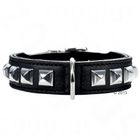 Collier Hunter Rocky pour chien