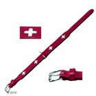 Collier pour chien Hunter Swiss