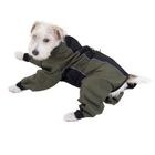 Combinaison pour chien