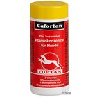 Comprimés fortifiants Fortan Cafortan