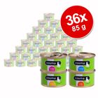 Cosma Original hyytelössä -säästöpakkaus, 36 x 85 g