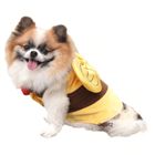 Costume d'abeille pour chien