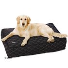 Coussin pour chien Medibed