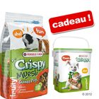 Crispy Muesli pour cochon d'Inde 20 kg + boîte offerte !