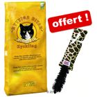 Croquettes Bozita Katty 15 kg + Jouet Kong Kickeroo