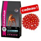 Croquettes Eukanuba 15 kg + balle hérisson colorée !
