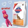 Croquettes Hill's Feline 5 kg + jouet Kong Wubba Cat offert!