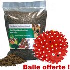 Croquettes 10 kg Grau + balle hérisson !