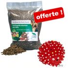 Croquettes 10 kg Grau + balle hérisson !