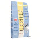 Croquettes Mastery Adult Sensitive Skin N' Intestine
