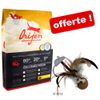 Croquettes Orijen 7 kg + Balle à plumes pour chat Squieky