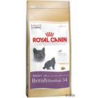Croquettes pour chat Royal Canin British Shorthair 34