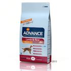 Croquettes pour chien  Advance agneau, riz