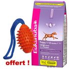 Croquettes pour  chien Eukanuba + Boomer Aqua Football