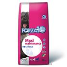 Croquettes pour chien Forza10 Maintenance Maxi au poisson
