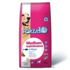 Croquettes pour chien Forza10 Maintenance Medium, poisson