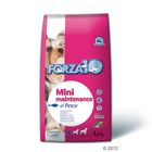 Croquettes pour chien Forza10 Maintenance Mini, poisson