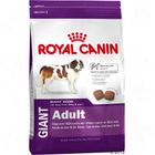 Croquettes pour chien Royal Canin Giant Adult 28
