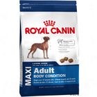 Croquettes pour chien Royal Canin Maxi Adult Body Condition