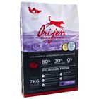 Croquettes pour chiot Orijen Puppy Large