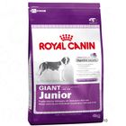 Croquettes pour chiot Royal Canin Giant Junior 31