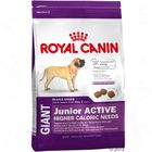 Croquettes pour chiot Royal Canin Giant Junior Active